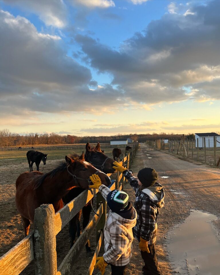 Horses at Carms Farm in Colts Neck, NJ.